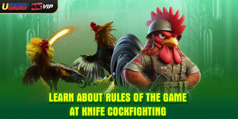 Learn about rules of the game at knife cockfighting