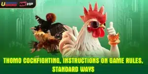 Thomo Cockfighting, Instructions On Game Rules, Standard Ways
